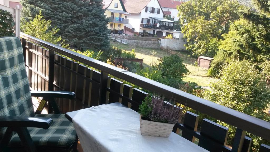 Haus Dorfblick Apartment Dorrenbach